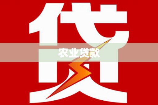 柳东农业贷款