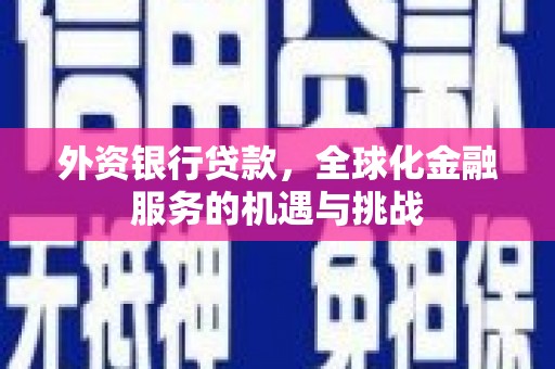 柳东外资银行贷款，全球化金融服务的机遇与挑战