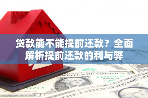 柳东贷款能不能提前还款？全面解析提前还款的利与弊