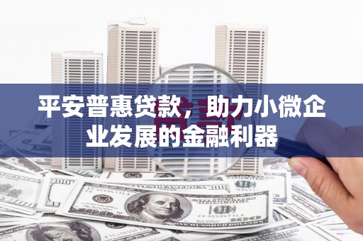 柳东平安普惠贷款，助力小微企业发展的金融利器
