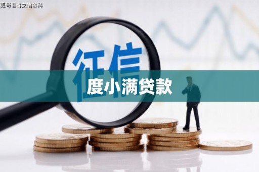 柳东度小满贷款