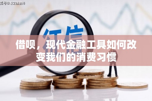 柳东借呗，现代金融工具如何改变我们的消费习惯