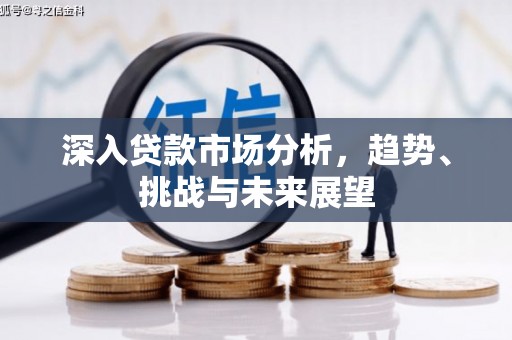 柳东深入贷款市场分析，趋势、挑战与未来展望