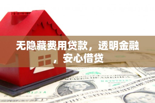 柳东无隐藏费用贷款，透明金融，安心借贷