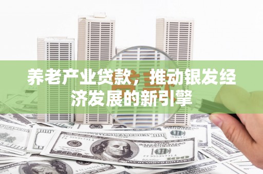 柳东养老产业贷款，推动银发经济发展的新引擎