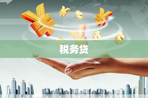 柳东税务贷