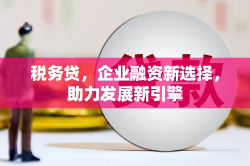 柳东税务贷，企业融资新选择，助力发展新引擎