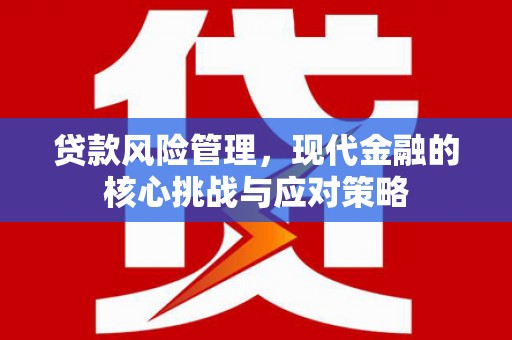 柳东贷款风险管理，现代金融的核心挑战与应对策略