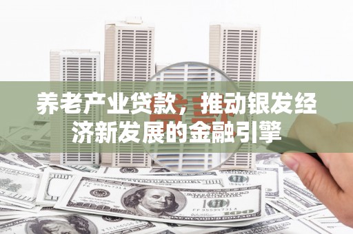 柳东养老产业贷款，推动银发经济新发展的金融引擎