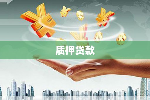 柳东质押贷款
