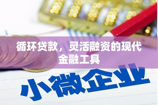 柳东循环贷款，灵活融资的现代金融工具
