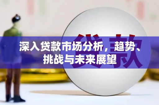 柳东深入贷款市场分析，趋势、挑战与未来展望