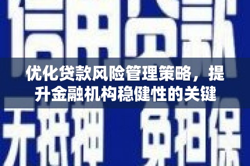 柳东优化贷款风险管理策略，提升金融机构稳健性的关键