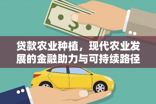 柳东贷款农业种植，现代农业发展的金融助力与可持续路径