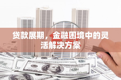 柳东贷款展期，金融困境中的灵活解决方案