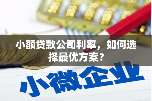 柳东小额贷款公司利率，如何选择最优方案？