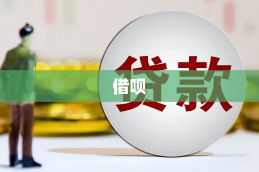 柳东借呗