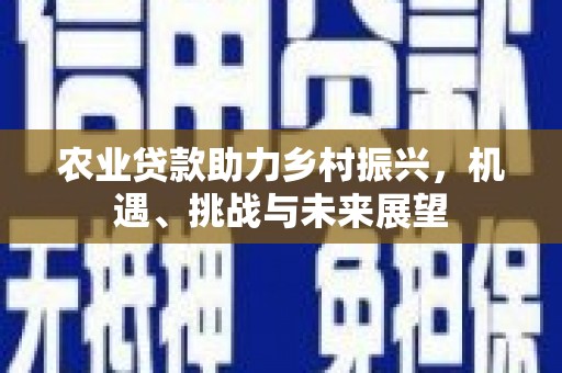 柳东农业贷款助力乡村振兴，机遇、挑战与未来展望