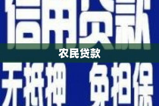 柳东农民贷款