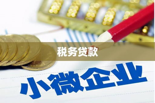 柳东税务贷款
