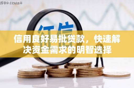 柳东信用良好易批贷款，快速解决资金需求的明智选择