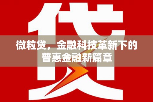 柳东微粒贷，金融科技革新下的普惠金融新篇章