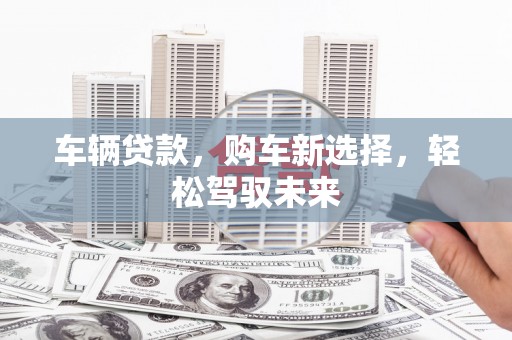 柳东车辆贷款，购车新选择，轻松驾驭未来