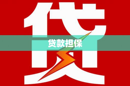 柳东贷款担保
