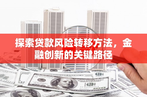 柳东探索贷款风险转移方法，金融创新的关键路径