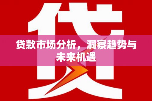 柳东贷款市场分析，洞察趋势与未来机遇