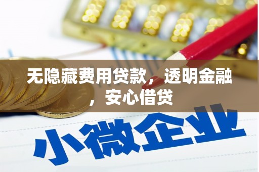 柳东无隐藏费用贷款，透明金融，安心借贷