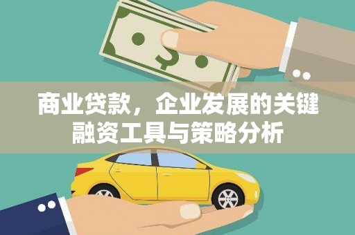 柳东商业贷款，企业发展的关键融资工具与策略分析