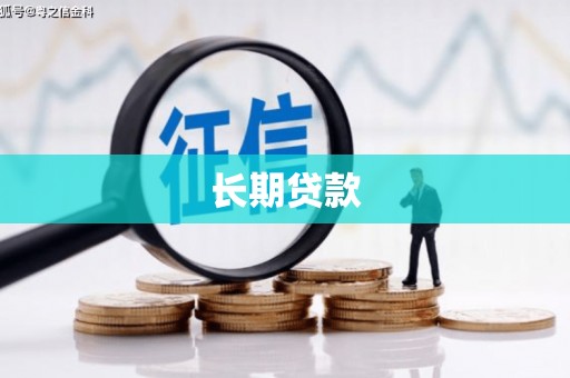 柳东长期贷款