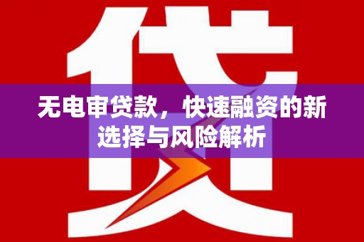 柳东无电审贷款，快速融资的新选择与风险解析