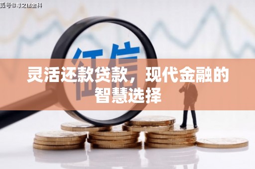 柳东灵活还款贷款，现代金融的智慧选择