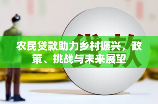 柳东农民贷款助力乡村振兴，政策、挑战与未来展望