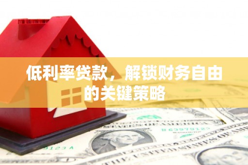 柳东低利率贷款，解锁财务自由的关键策略