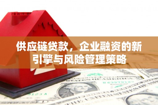 柳东供应链贷款，企业融资的新引擎与风险管理策略