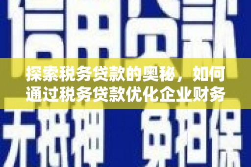 柳东探索税务贷款的奥秘，如何通过税务贷款优化企业财务