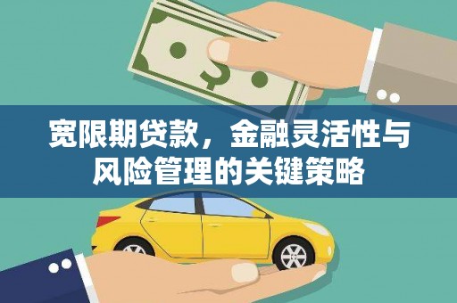 柳东宽限期贷款，金融灵活性与风险管理的关键策略