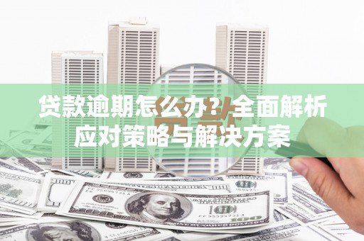 柳东贷款逾期怎么办？全面解析应对策略与解决方案