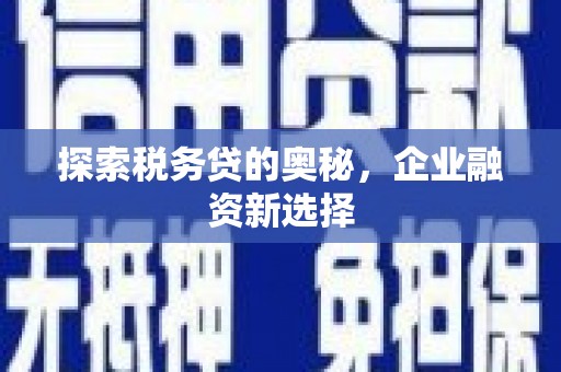 柳东探索税务贷的奥秘，企业融资新选择