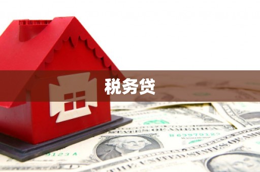 柳东税务贷
