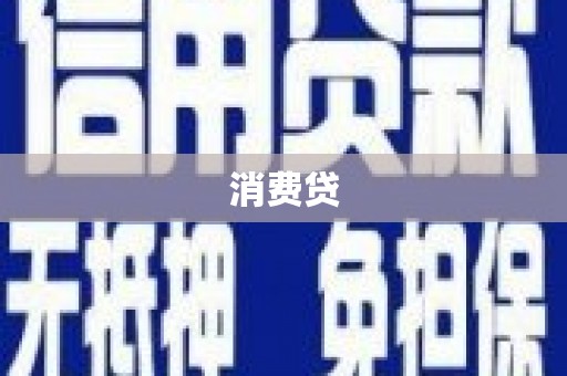 柳东消费贷