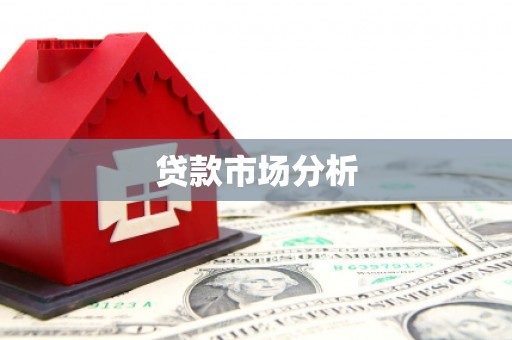 柳东贷款市场分析