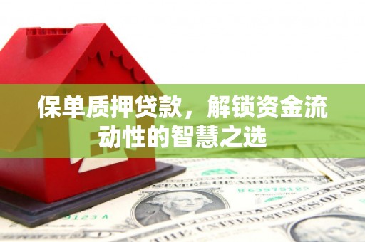 柳东保单质押贷款，解锁资金流动性的智慧之选