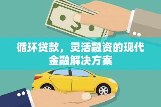 柳东循环贷款，灵活融资的现代金融解决方案
