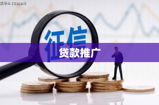 柳东贷款推广