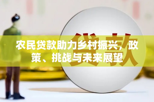 柳东农民贷款助力乡村振兴，政策、挑战与未来展望