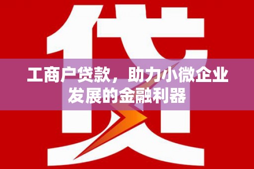 柳东工商户贷款，助力小微企业发展的金融利器